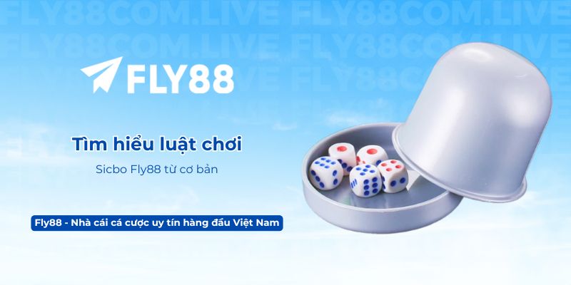 Tìm hiểu luật chơi Sicbo Fly88 từ cơ bản